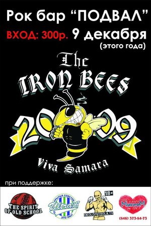 The Iron Bees концерт в Самаре 9 декабря 2017 