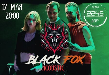 Black Fox концерт в Самаре 17 мая 2025 