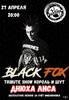 Black Fox концерт в Самаре 27 апреля 2024 