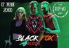 Black Fox концерт в Самаре 17 мая 2025 