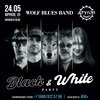 Wolf Blues Band концерт в Самаре 24 мая 2025 